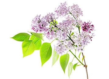 《光与影：33号远征队》力压《怪物猎人：荒野》 成为全英销量亚军